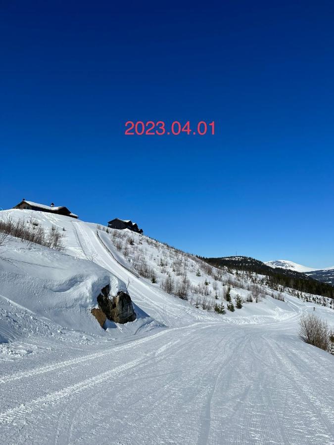Perfect Moutain Getaway! Beautiful Apartment At Skagahogdi With Panoramic View Gol Exterior photo